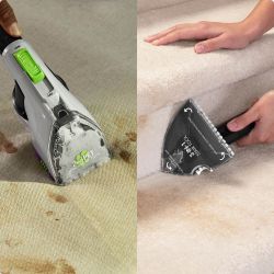 ProHeat 2x Revolution Pet Pro