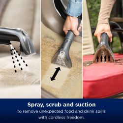 SpotClean Cordless