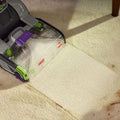 ProHeat 2x Revolution Pet Pro