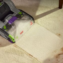 ProHeat 2x Revolution Pet Pro